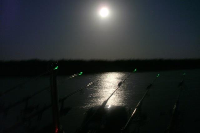 Doar ... NATURA  - 2 - gedc0346.JPG